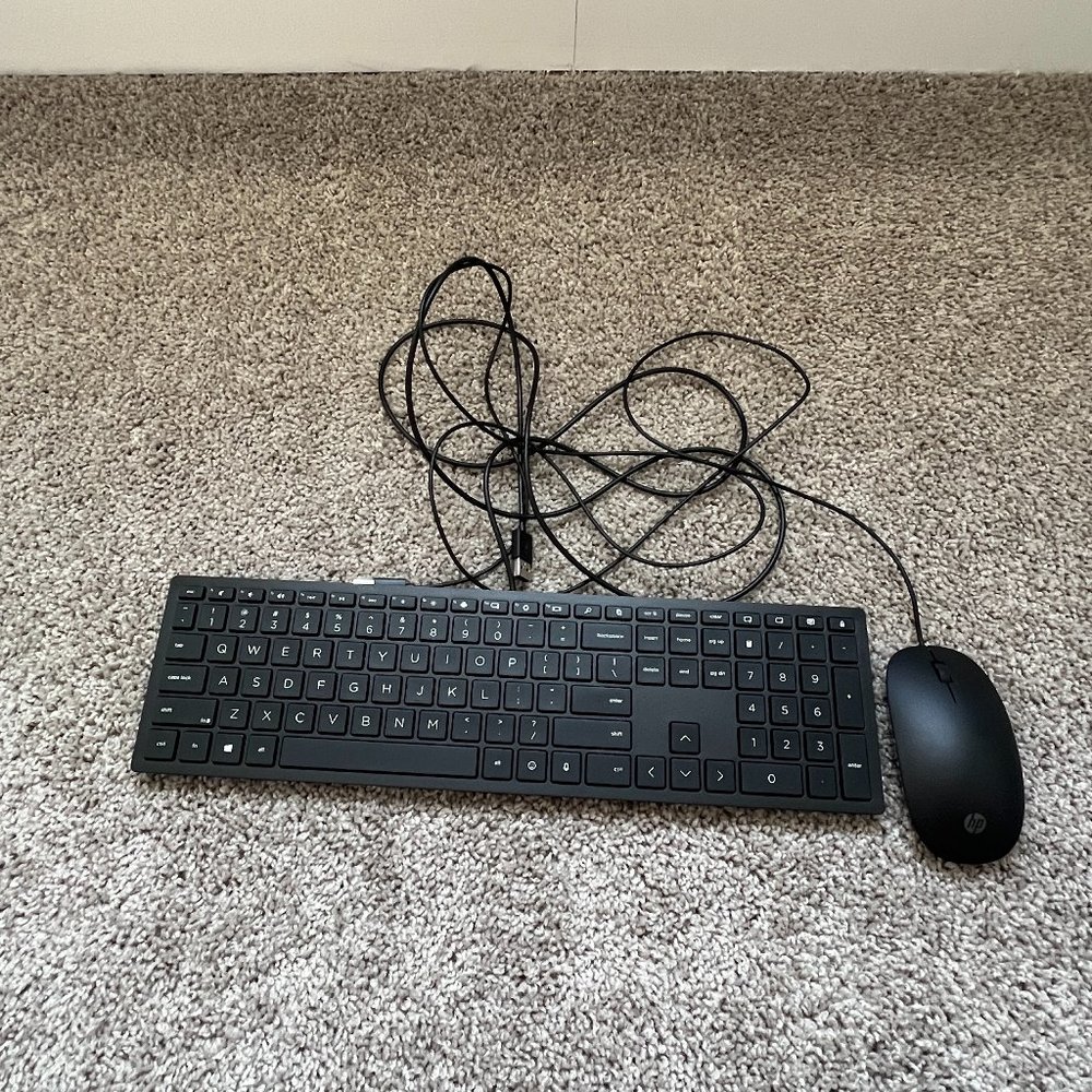 hp wired keyboard and mouse set